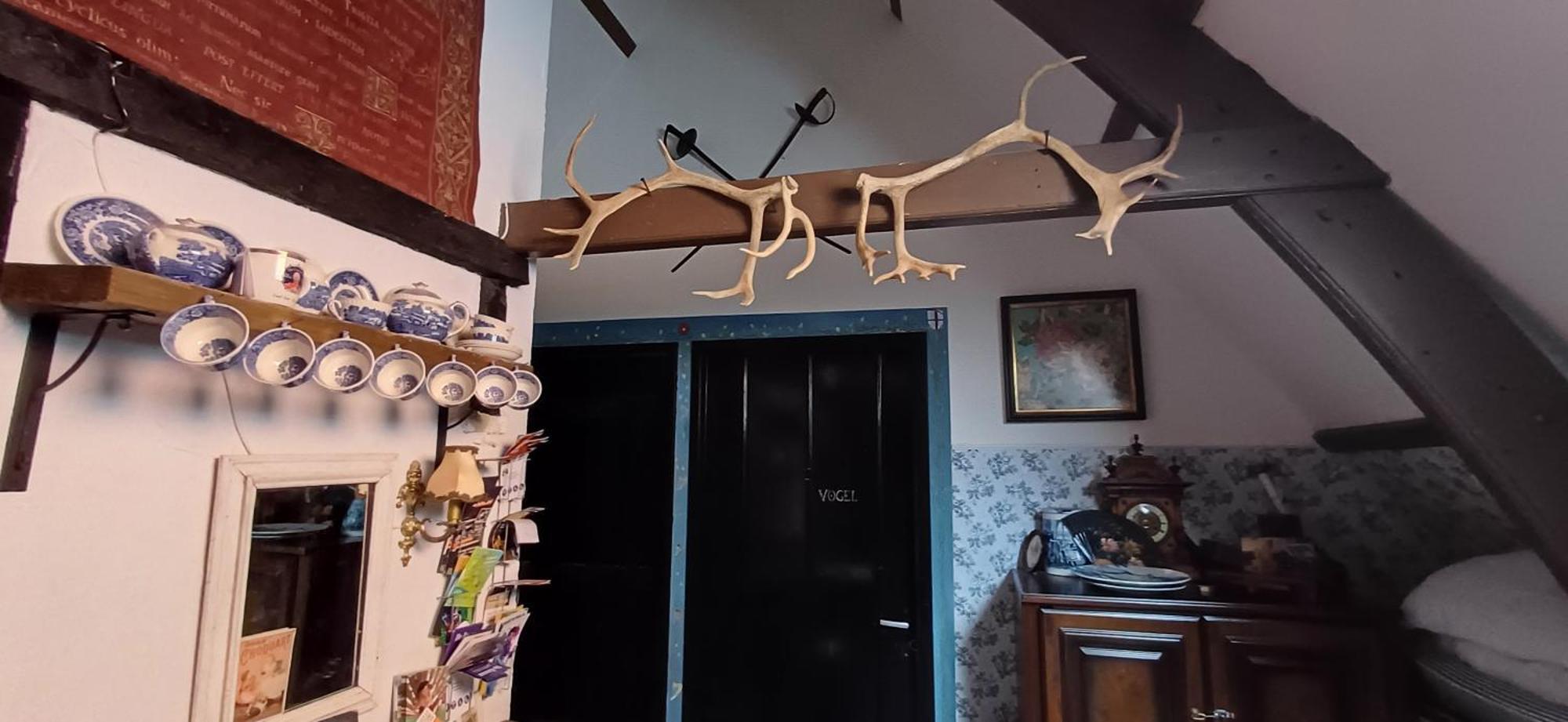 Bed and Breakfast De Snoeperij Dirksland Экстерьер фото
